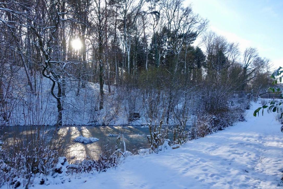 Ferienwohnung Haus am Wald Klingberg Exterior foto