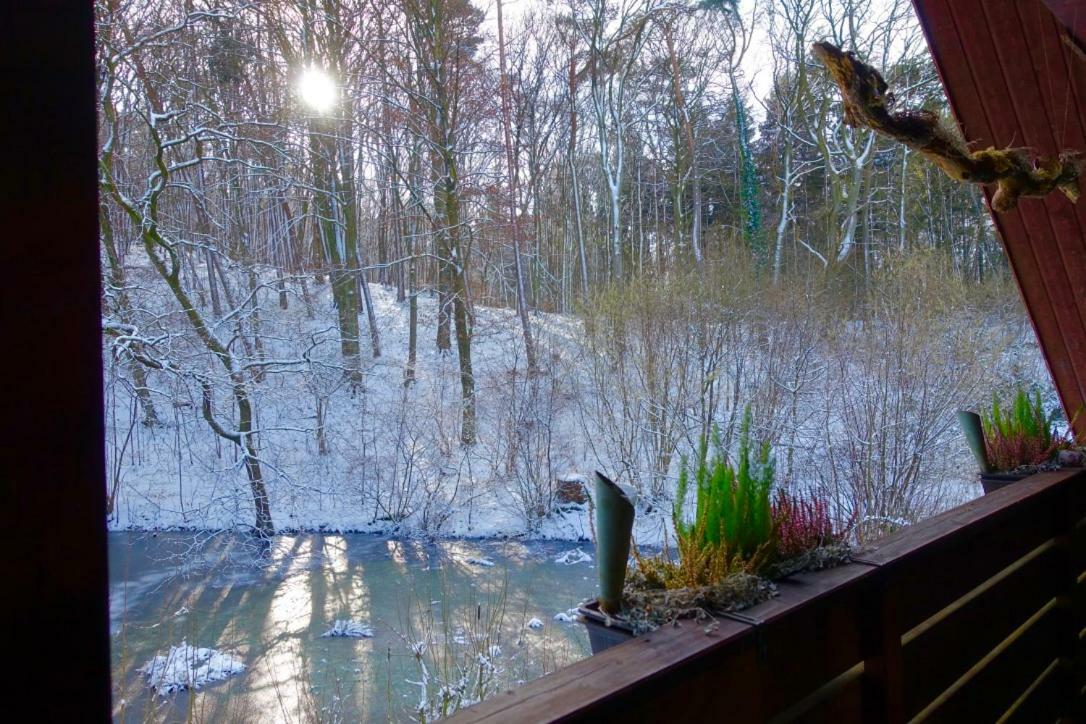Ferienwohnung Haus am Wald Klingberg Exterior foto
